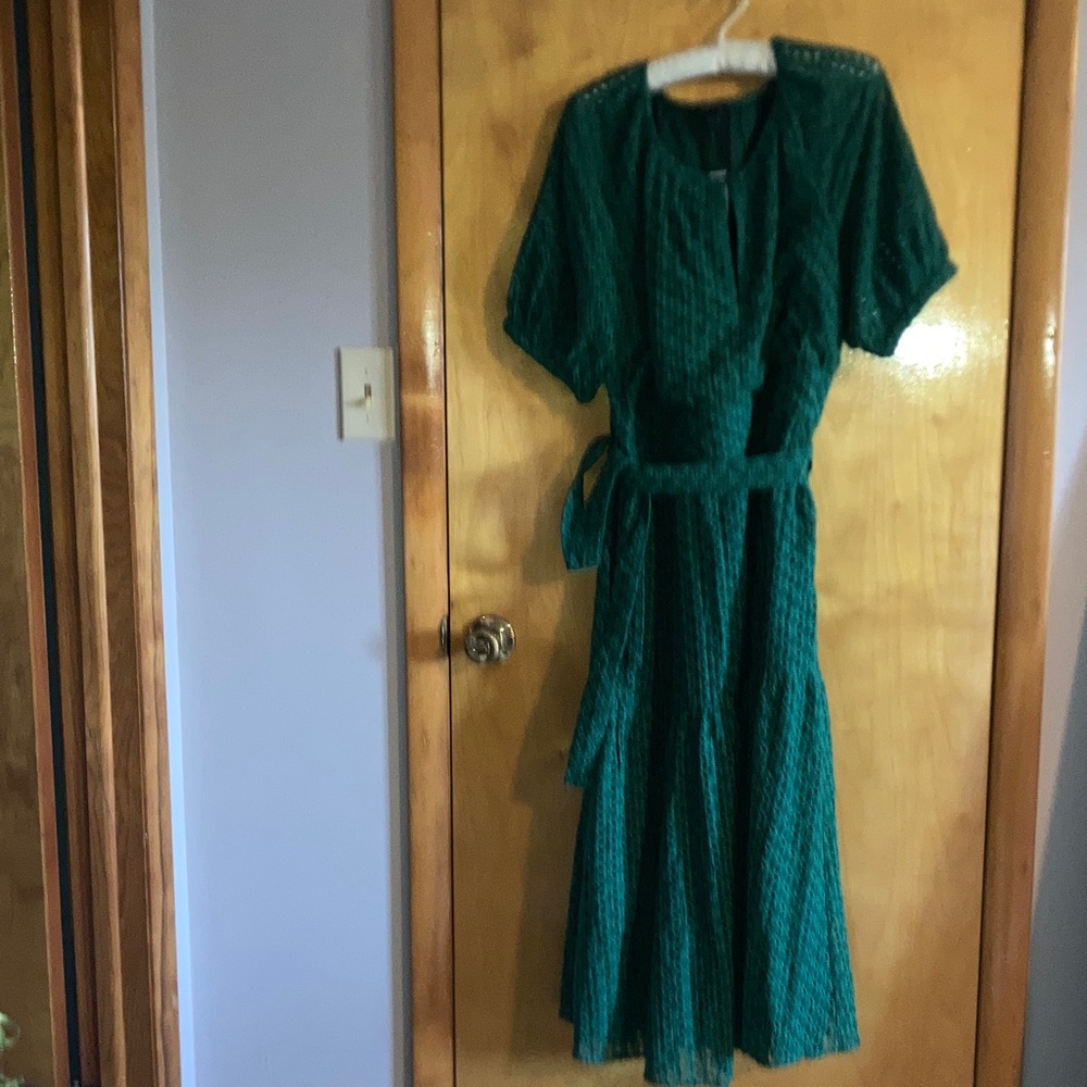 Ann Taylor green Long Sleeve Dress
